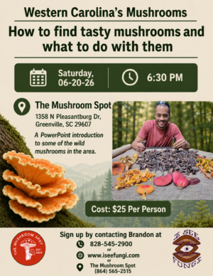 Wild Mushroom Presentation 6/20/2026