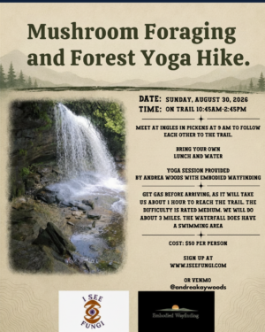 Mushroom Foraging and Yoga Hike This Sunday 8-30-26