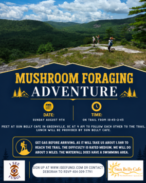 Mushroom Foraging Hike This Sunday Featuring Sun Belly Cafe 8-9-26