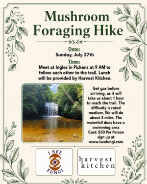 Mushroom Foraging Hike Featuring Harvest Kitchen 7-26-26